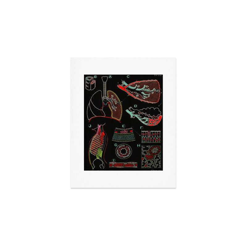 Paul Sougy: The Human Lung, 1957 (proceeds benefit The Nature Conservancy) Art Print Gallery Image 1