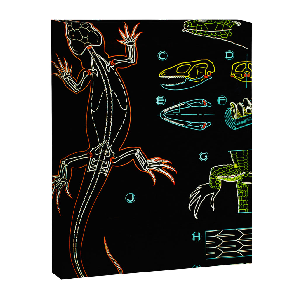 Paul Sougy: The Lizard, 1950s (proceeds benefit The Nature Conservancy) Canvas Print Gallery Image 6