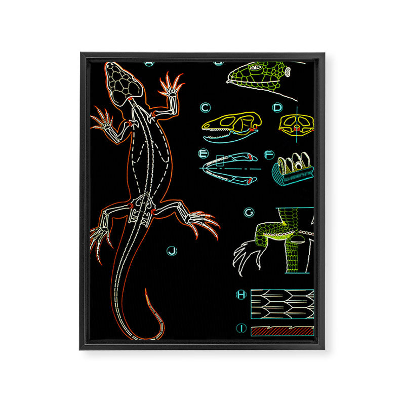 Paul Sougy: The Lizard, 1950s (proceeds benefit The Nature Conservancy) Framed Canvas Print Gallery Image 6