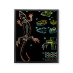 Paul Sougy: The Lizard, 1950s (proceeds benefit The Nature Conservancy) Framed Canvas Print Gallery Image 6