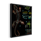 Paul Sougy: The Lizard, 1950s (proceeds benefit The Nature Conservancy) Framed Canvas Print Gallery Image 2