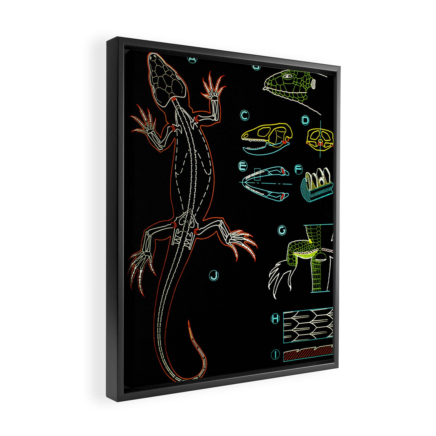 Paul Sougy: The Lizard, 1950s (proceeds benefit The Nature Conservancy) Framed Canvas Print Gallery Image 2