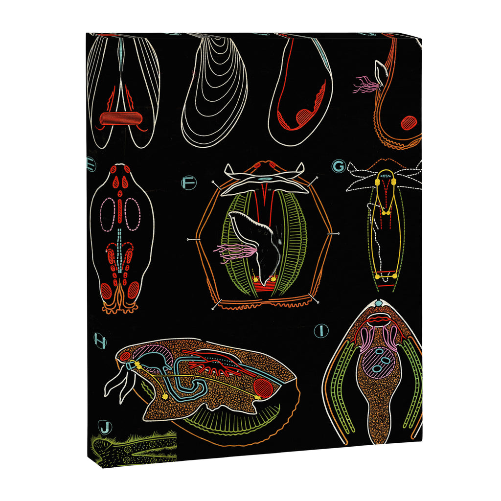 Paul Sougy: The Mussel, 1955 (proceeds benefit The Nature Conservancy) Canvas Print Gallery Image 6