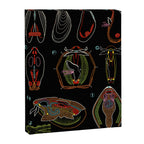 Paul Sougy: The Mussel, 1955 (proceeds benefit The Nature Conservancy) Canvas Print Gallery Image 6