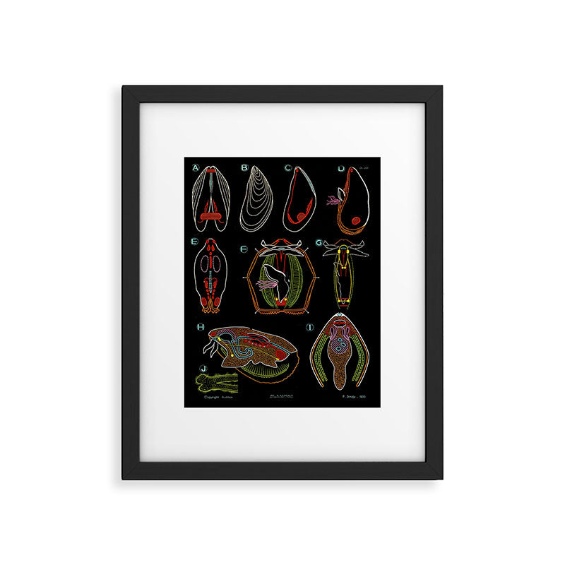 Paul Sougy: The Mussel, 1955 (proceeds benefit The Nature Conservancy) Framed Art Print Gallery Image 5