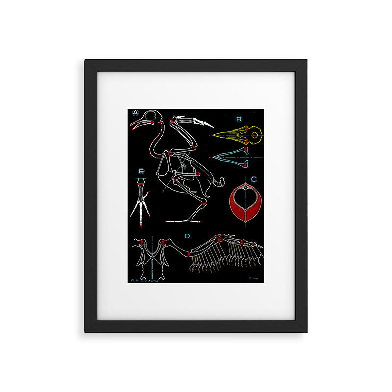 Paul Sougy: The Pigeon, 1950s (proceeds benefit The Nature Conservancy) Framed Art Print Gallery Image 5
