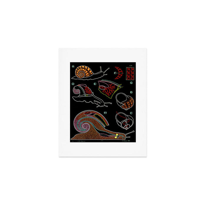 Paul Sougy: The Snail, 1955 (proceeds benefit The Nature Conservancy) Art Print Gallery Image 1
