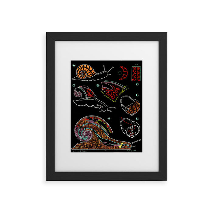 Paul Sougy: The Snail, 1955 (proceeds benefit The Nature Conservancy) Framed Art Print Gallery Image 1