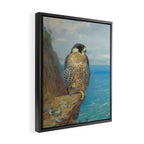 Peregrine at Auchencairn by Archibald Thorburn, 1923 (benefitting The Nature Conservancy) Framed Canvas Print Gallery Image 2
