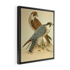 Peregrine Falcon by Henry Leonard Meyer, 1853 (benefitting The Nature Conservancy) Framed Canvas Print Gallery Image 2