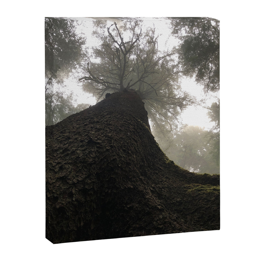 Perspective Canvas Print Gallery Image 6