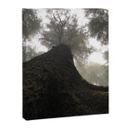 Perspective Canvas Print Gallery Image 6