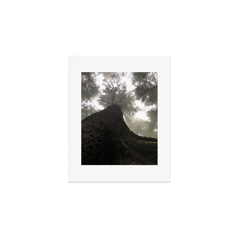 Perspective Art Print Gallery Image 1