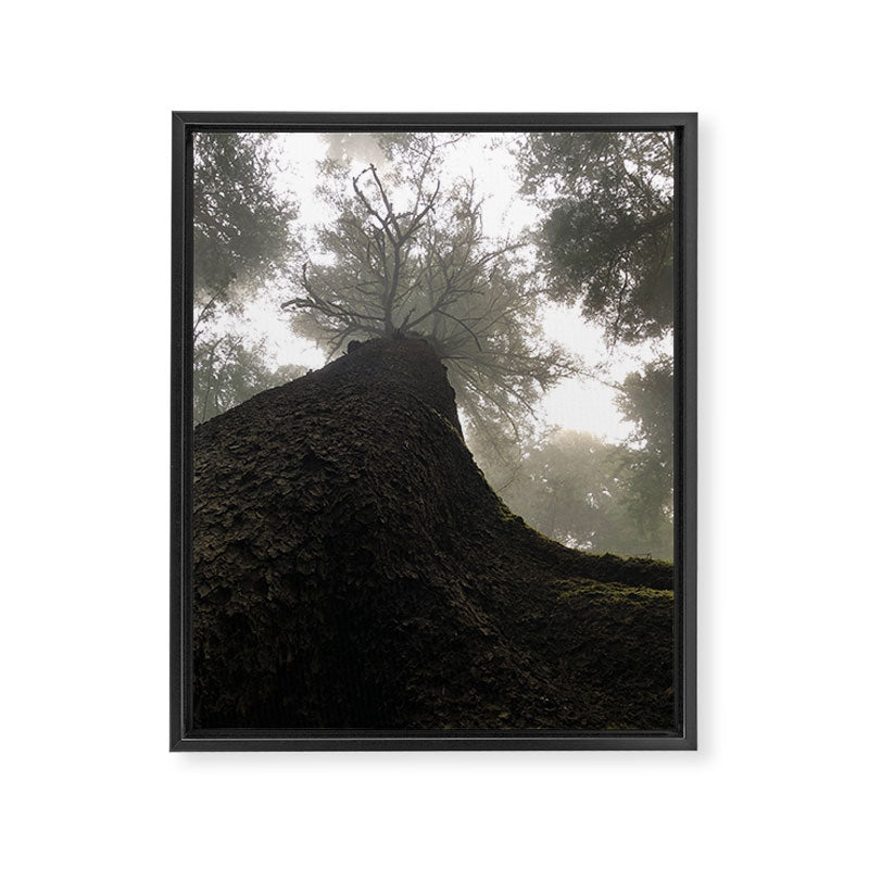Perspective Framed Canvas Print Gallery Image 6