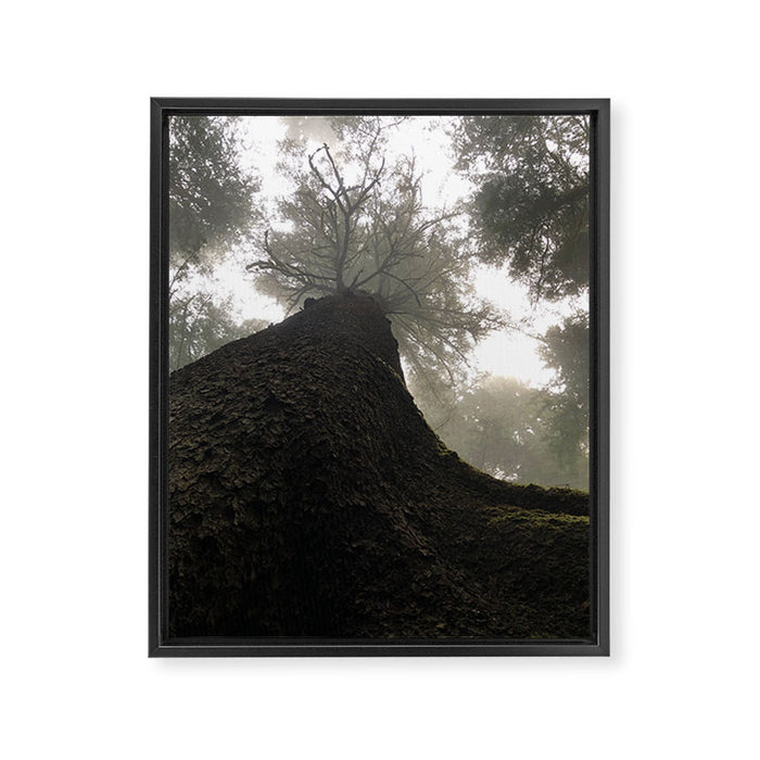 Perspective Framed Canvas Print Gallery Image 1
