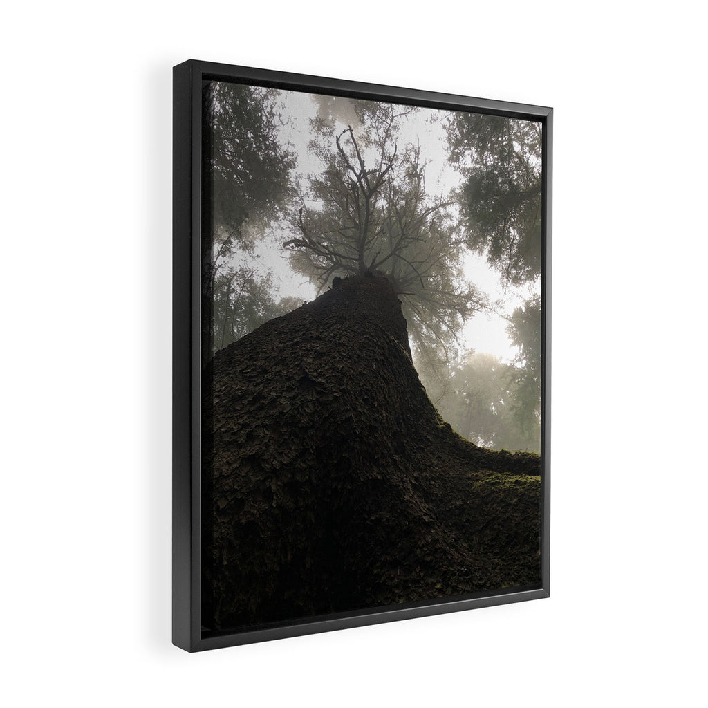Perspective Framed Canvas Print Gallery Image 2