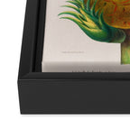 Pineapple from "Flore dâAmÃ©rique" by Ãtienne Denisse, 1840s Framed Canvas Print Gallery Image 3