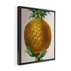 Pineapple from "Flore dâAmÃ©rique" by Ãtienne Denisse, 1840s Framed Canvas Print Gallery Image 2