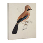Plain-crowned jay by Elizabeth Gould from "A Century of Birds from the Himalaya Mountains," 1831 Canvas Print Gallery Image 6