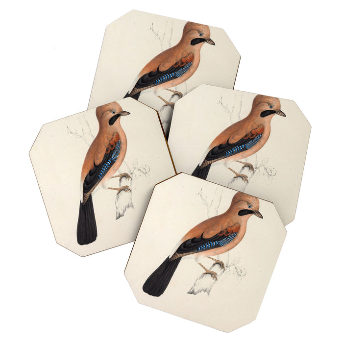 Plain-crowned jay by Elizabeth Gould from "A Century of Birds from the Himalaya Mountains," 1831 Coaster Gallery Image 1