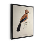 Plain-crowned jay by Elizabeth Gould from "A Century of Birds from the Himalaya Mountains," 1831 Framed Canvas Print Gallery Image 2