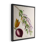 Plum from "Flore dâAmÃ©rique" by Ãtienne Denisse, 1840s Framed Canvas Print Gallery Image 2