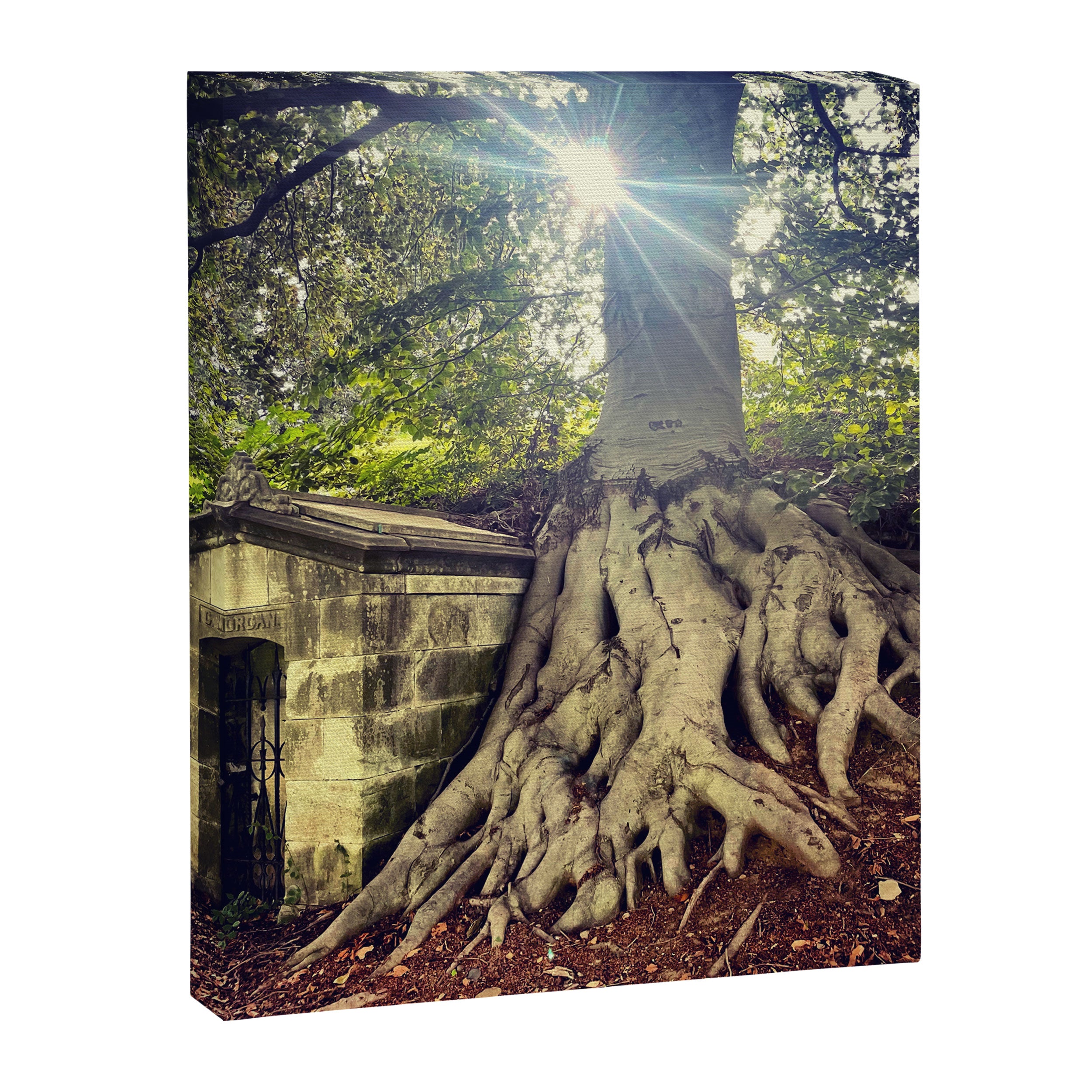 Possible Certainties Canvas Print Gallery Image 6