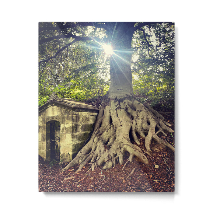 Possible Certainties Metal Print Gallery Image 1