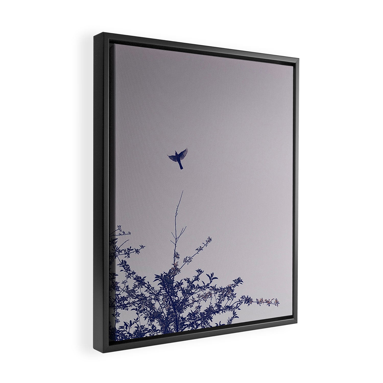 Praise Song for Dawn (proceeds benefiting The Nature Conservancy) Framed Canvas Print Gallery Image 2