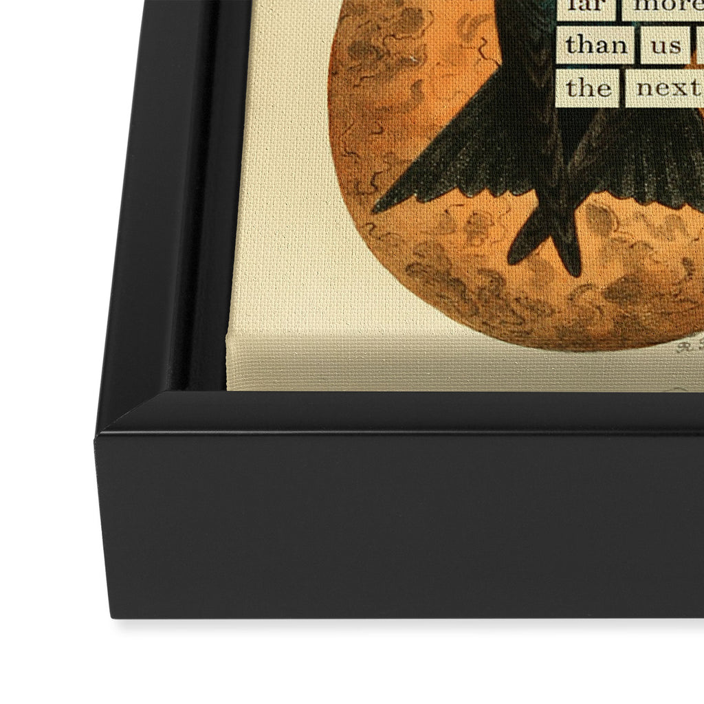 Purple Martin Divination from # An Almanac of Birds # Divinations for Uncertain Days Framed Canvas Print Gallery Image 3
