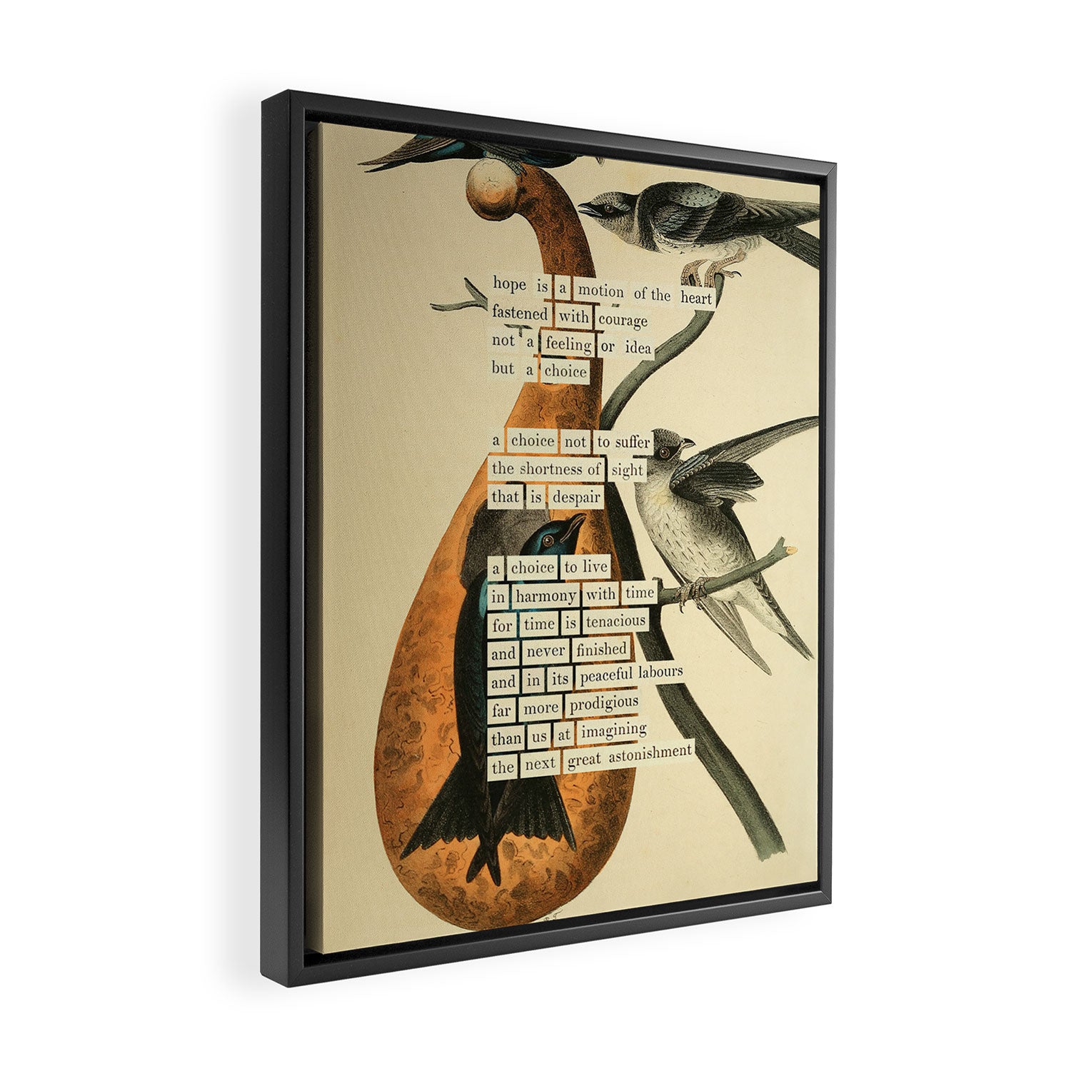 Purple Martin Divination from # An Almanac of Birds # Divinations for Uncertain Days Framed Canvas Print Gallery Image 2