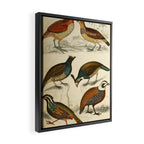 Quails from The Edinburgh Journal, 1835 (benefitting The Nature Conservancy) Framed Canvas Print Gallery Image 2