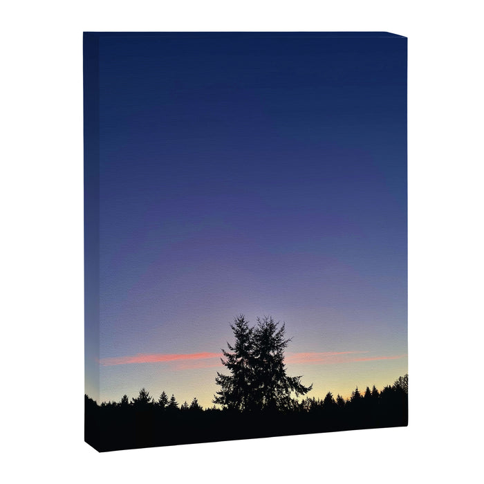 Reasons for Being Canvas Print Gallery Image 1