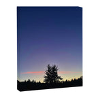Reasons for Being Canvas Print Gallery Image 6