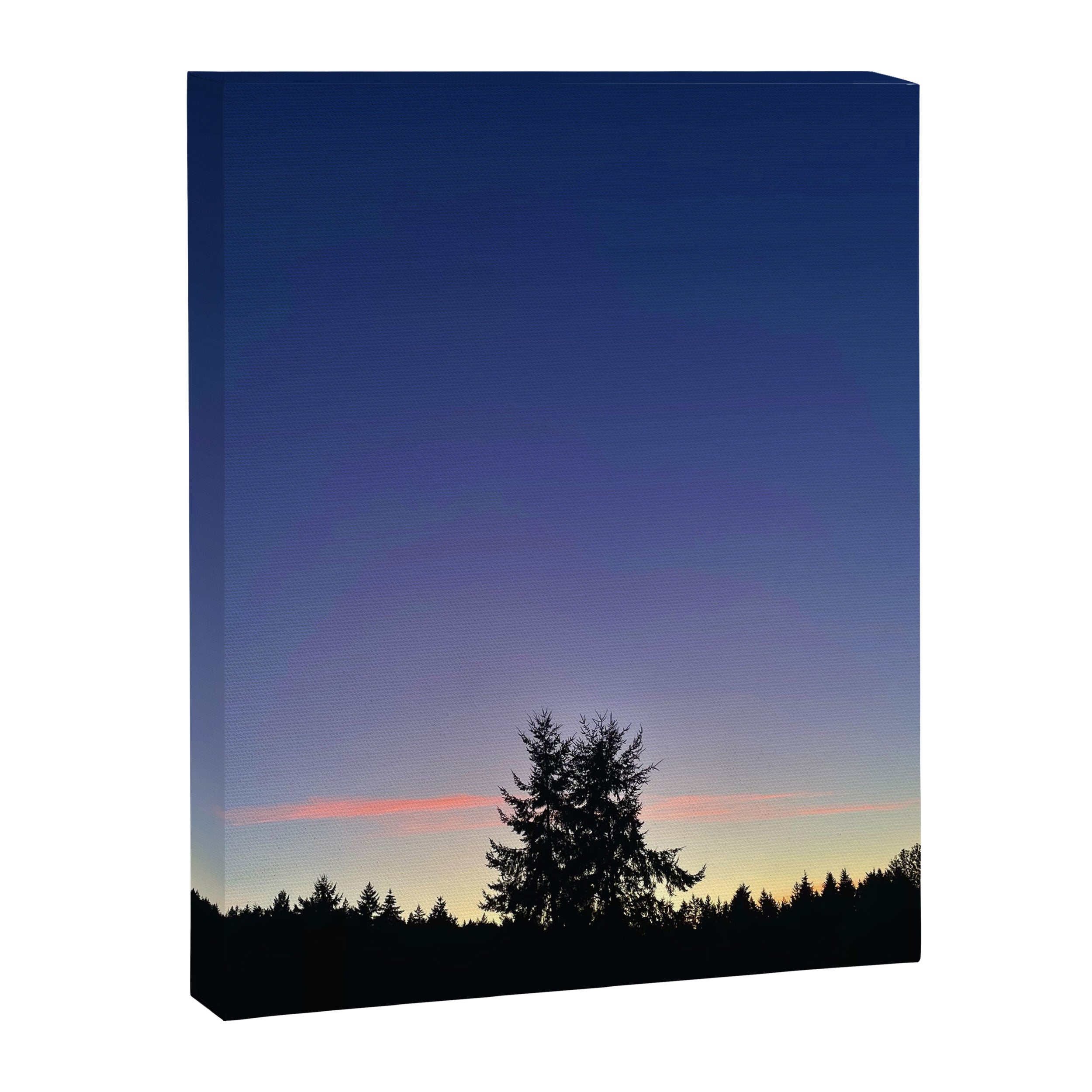 Reasons for Being Canvas Print Gallery Image 6