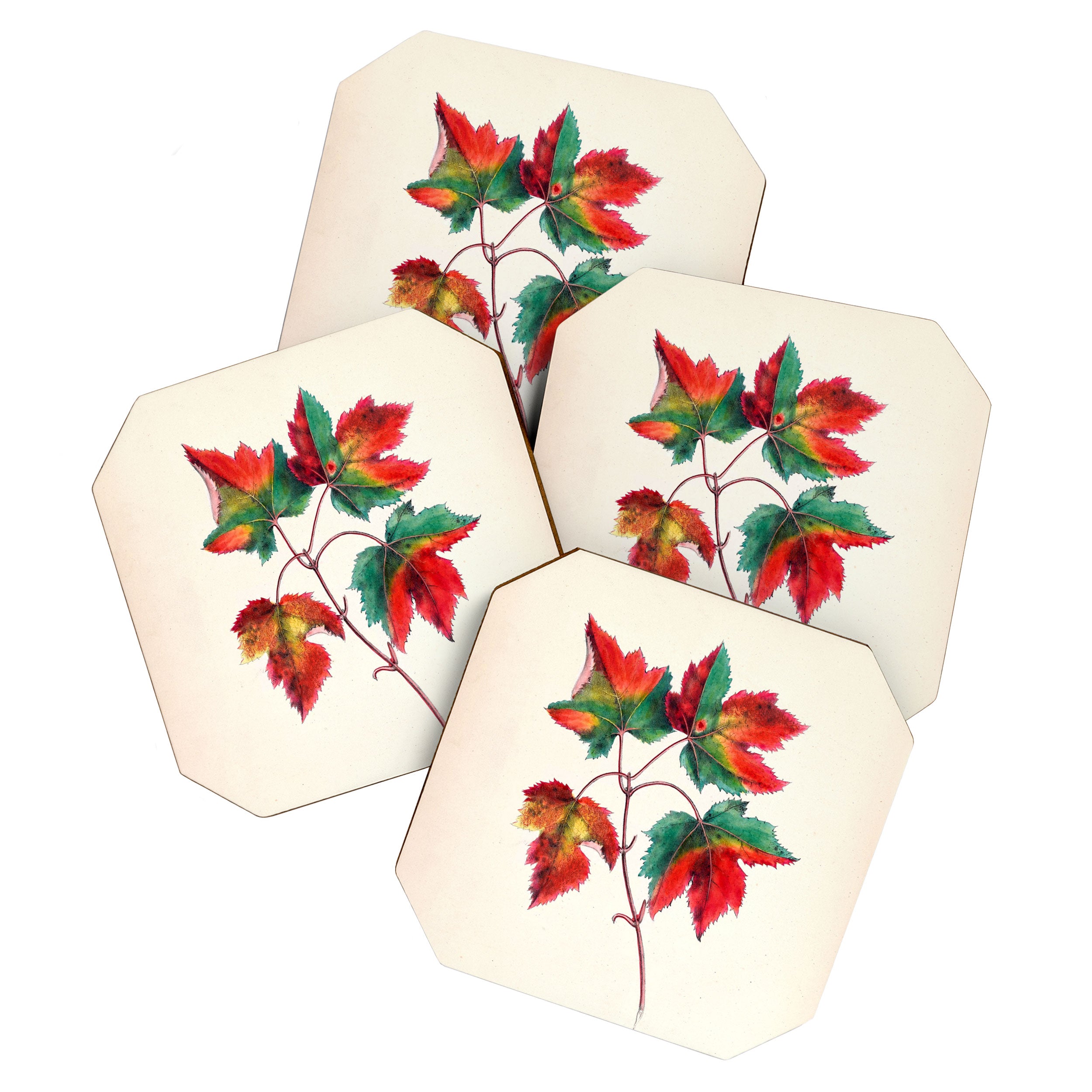 Red maple by Clarissa Munger Badger, 1859 (benefitting The Nature Conservancy) Coaster Gallery Image 1