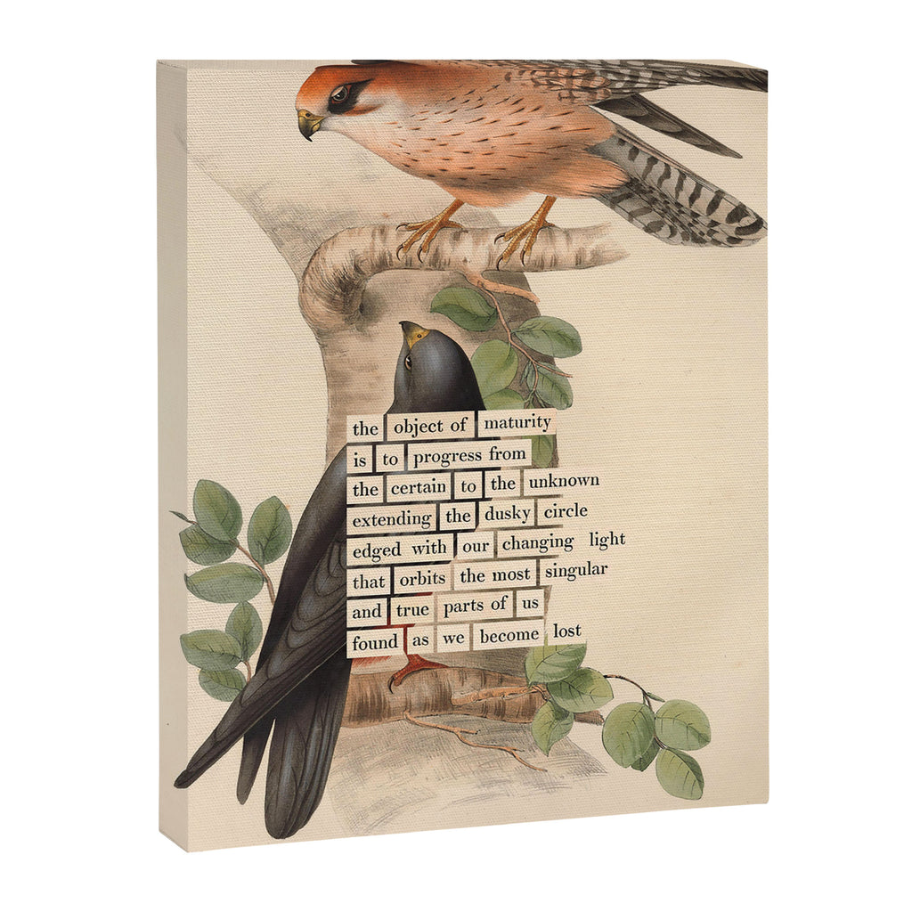 Red-footed Falcon Divination from # An Almanac of Birds # Divinations for Uncertain Days Canvas Print Gallery Image 6