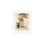 Red-footed Falcon Divination from # An Almanac of Birds # Divinations for Uncertain Days Art Print Gallery Image 1