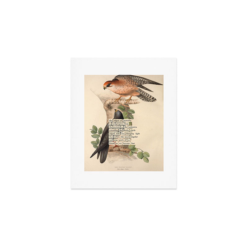 Red-footed Falcon Divination from # An Almanac of Birds # Divinations for Uncertain Days Art Print Gallery Image 1