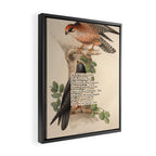 Red-footed Falcon Divination from # An Almanac of Birds # Divinations for Uncertain Days Framed Canvas Print Gallery Image 2