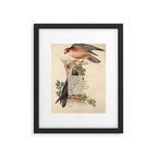 Red-footed Falcon Divination from # An Almanac of Birds # Divinations for Uncertain Days Framed Art Print Gallery Image 5