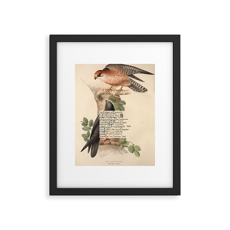 Red-footed Falcon Divination from # An Almanac of Birds # Divinations for Uncertain Days Framed Art Print Gallery Image 5