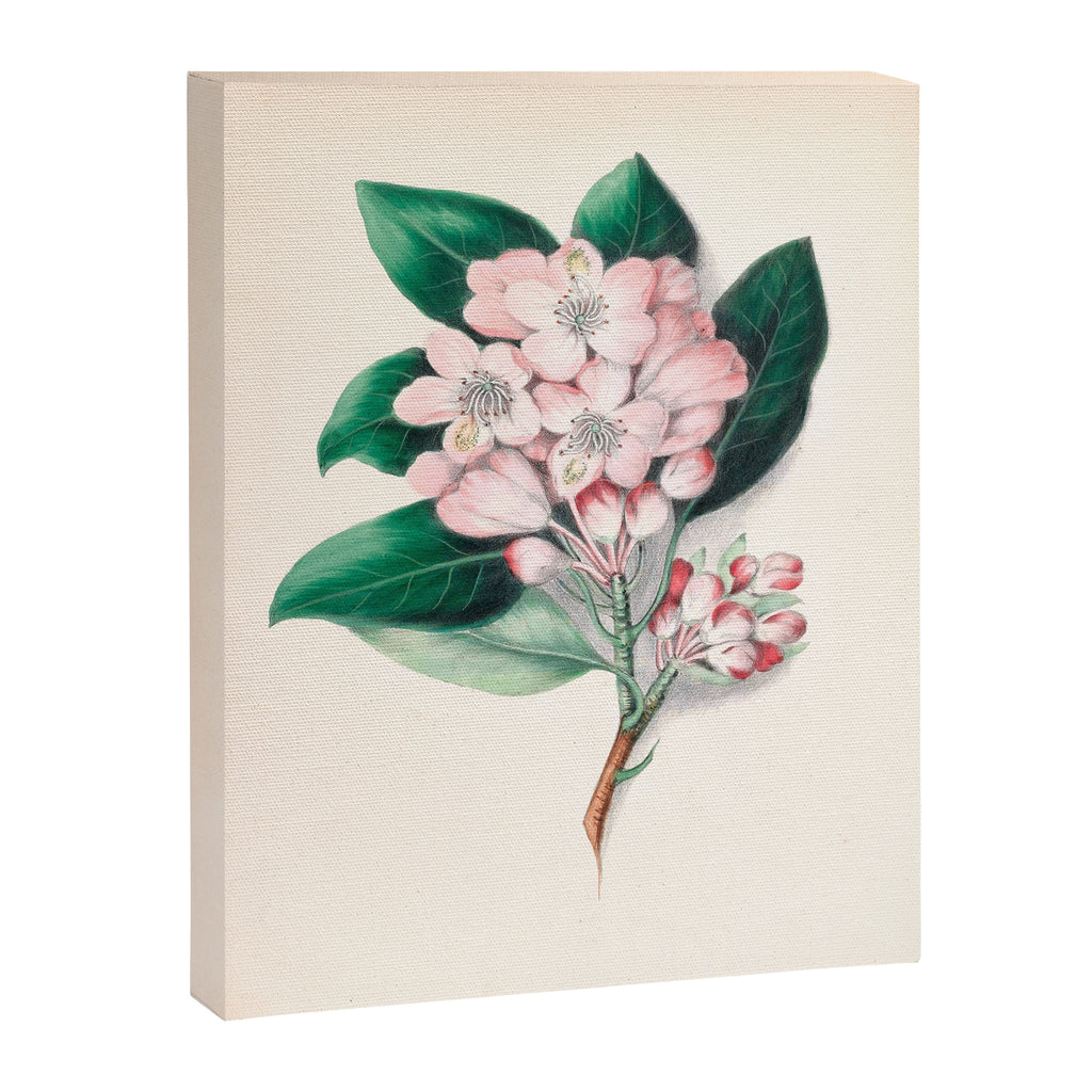  Rhododendron by Clarissa Munger Badger, 1859 (benefitting The Nature Conservancy) Canvas Print Gallery Image 6