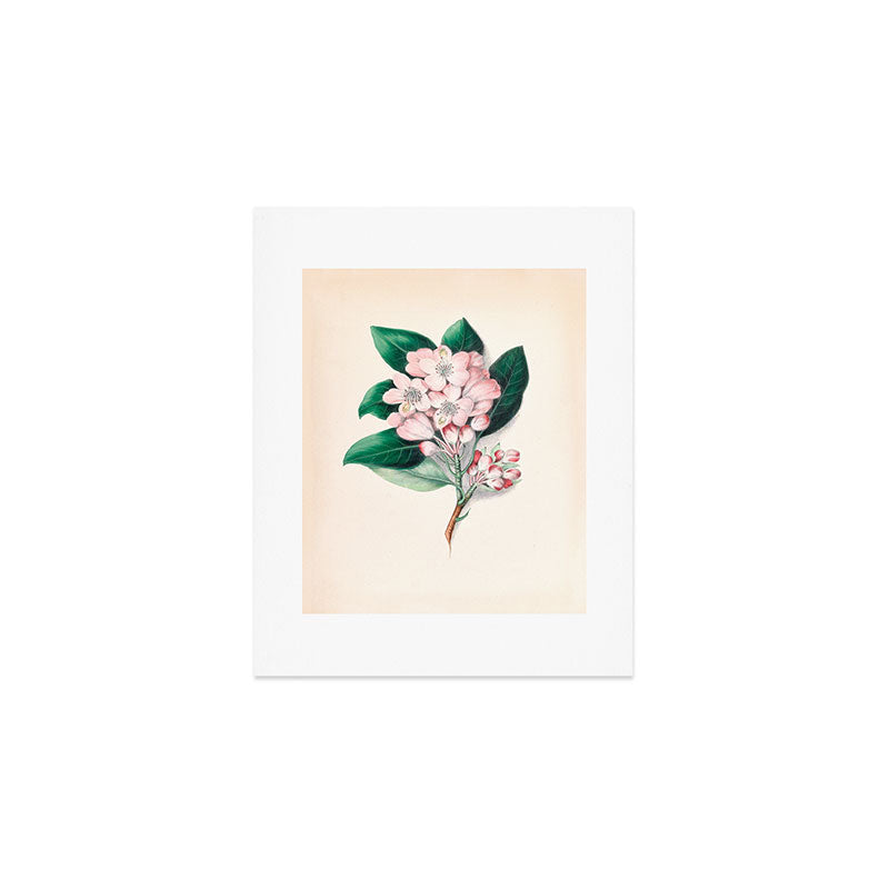  Rhododendron by Clarissa Munger Badger, 1859 (benefitting The Nature Conservancy) Art Print Gallery Image 1