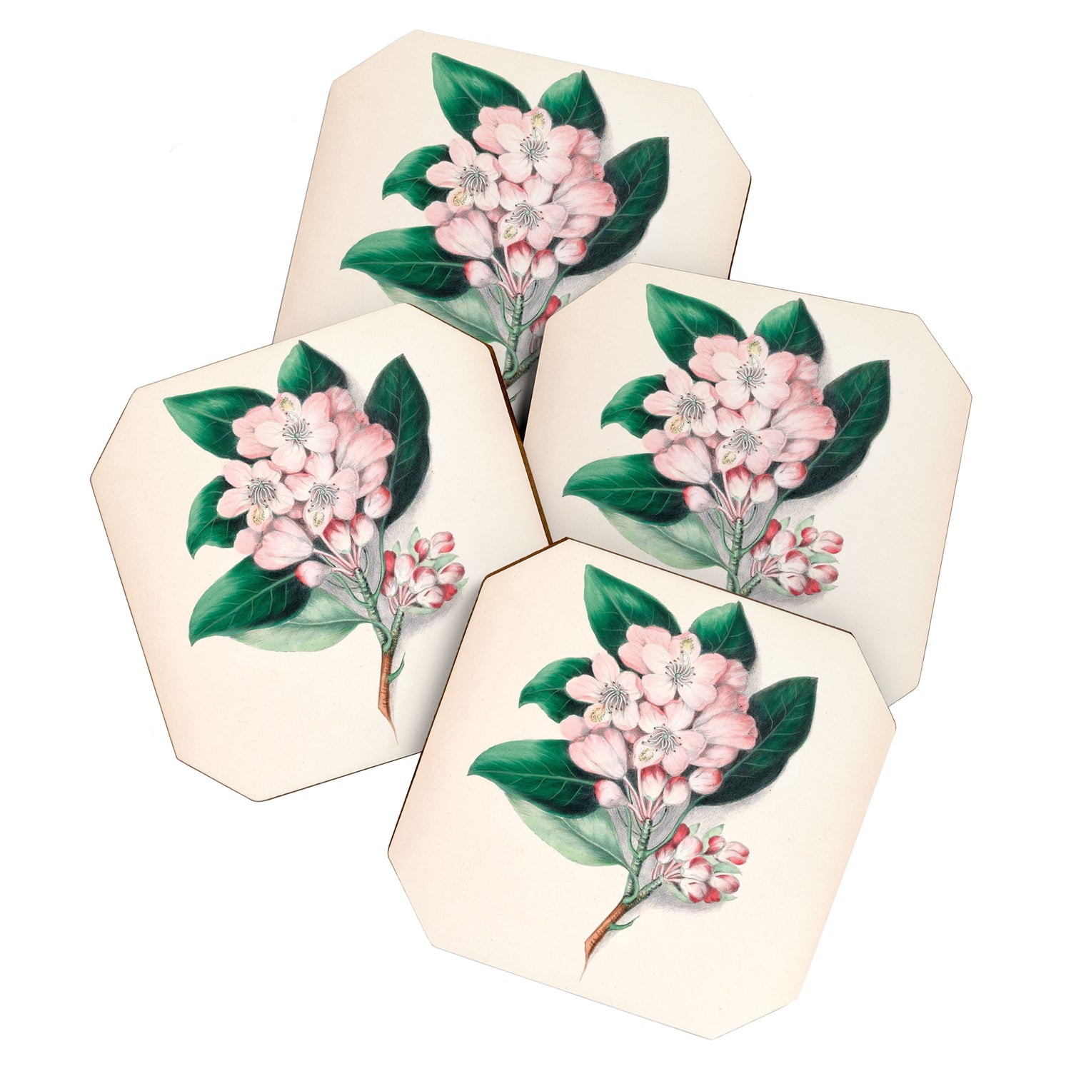  Rhododendron by Clarissa Munger Badger, 1859 (benefitting The Nature Conservancy) Coaster Gallery Image 1