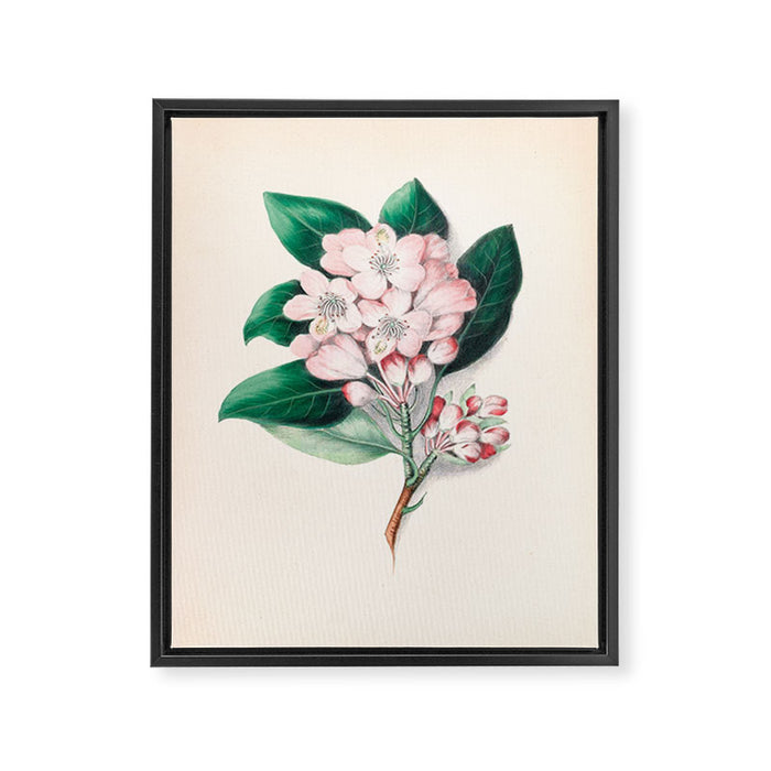  Rhododendron by Clarissa Munger Badger, 1859 (benefitting The Nature Conservancy) Framed Canvas Print Gallery Image 1