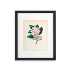  Rhododendron by Clarissa Munger Badger, 1859 (benefitting The Nature Conservancy) Framed Art Print Gallery Image 4