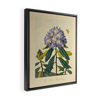 Rhododendron from "The Temple of Flora," 1812 (benefitting The Nature Conservancy) Framed Canvas Print Gallery Image 2