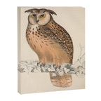 Rock eagle-owl by Elizabeth Gould from "A Century of Birds from the Himalaya Mountains," 1831 Canvas Print Gallery Image 6