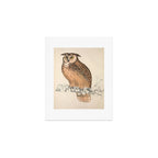 Rock eagle-owl by Elizabeth Gould from "A Century of Birds from the Himalaya Mountains," 1831 Art Print Gallery Image 1